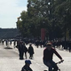 Illustration for article titled This Is What Paris Looks Like Without Cars